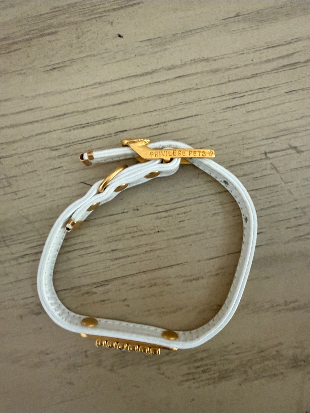 White Leather pet collar